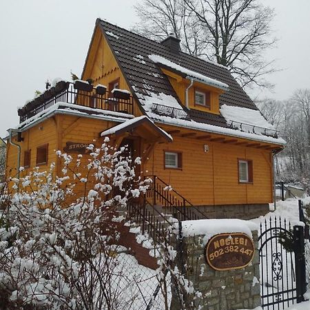 Sosnowa Chata - Dom Z Prywatna Sauna Szklarska Poreba Exterior photo