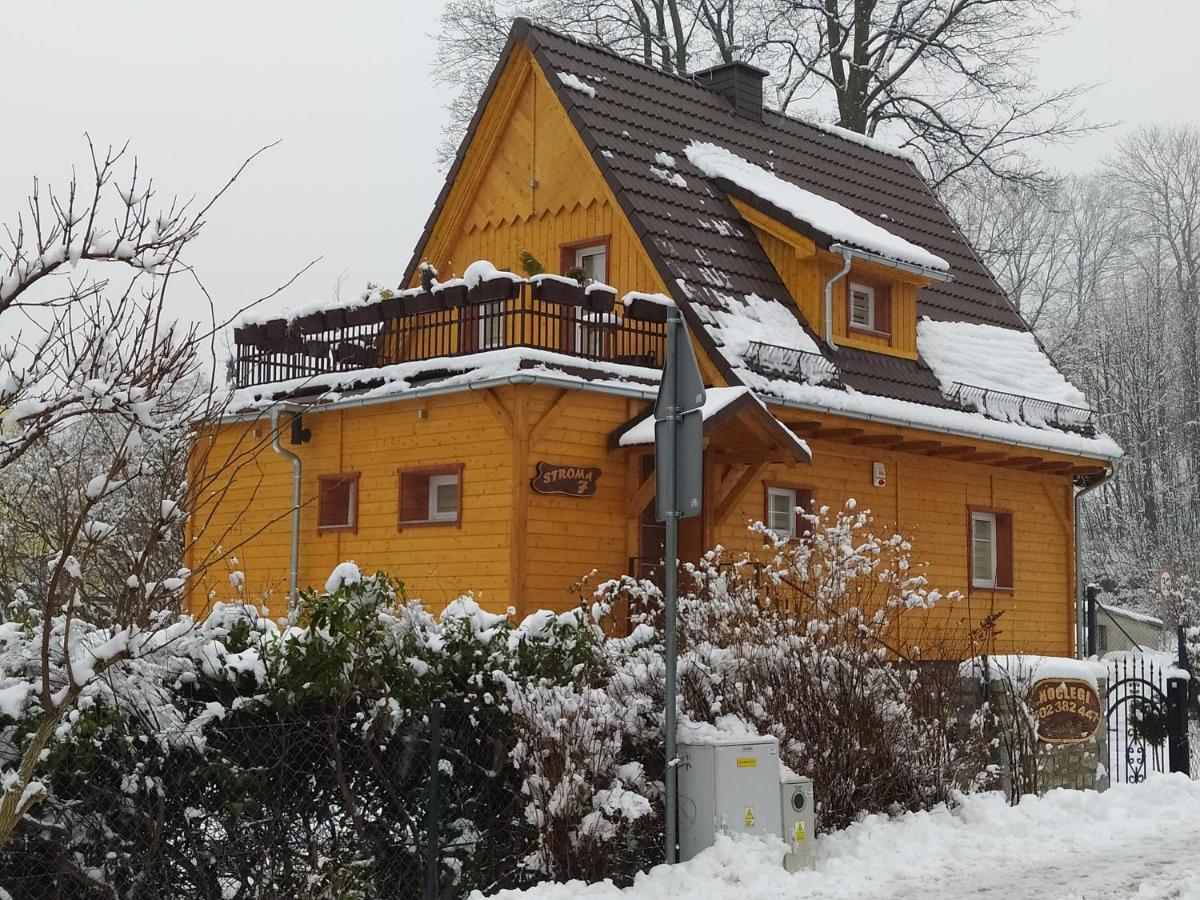 Sosnowa Chata - Dom Z Prywatna Sauna Szklarska Poreba Exterior photo